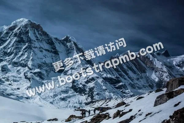 ⊞ Portfolio - 奇异果体育直播APP