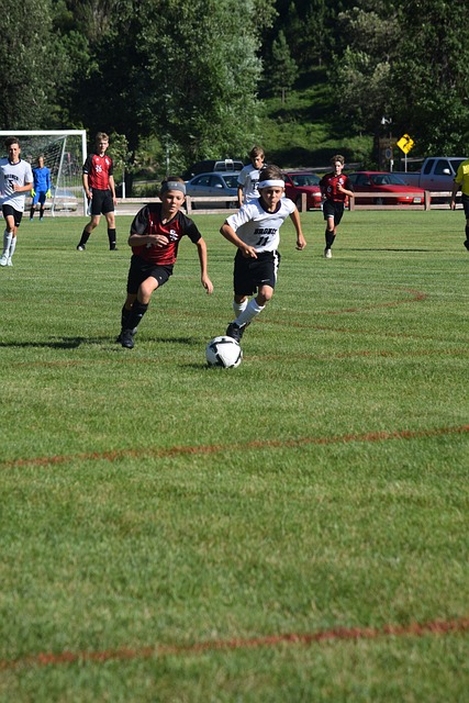 部的竞争中 部的竞争中