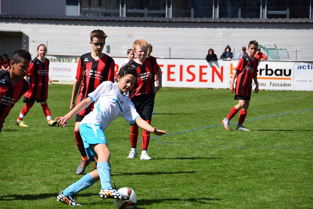 无疑为许多 无疑为许多