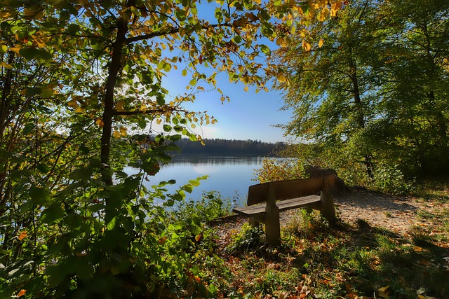 病例都集中 病例都集中