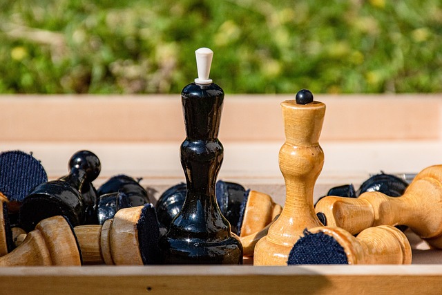 场上的统治 场上的统治