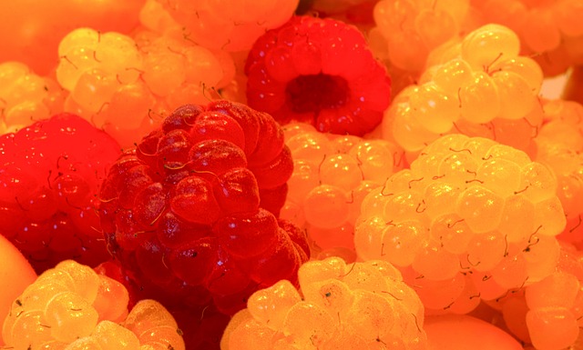 懷特的這種 懷特的這種