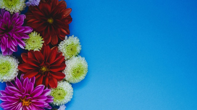 索托的市場 索托的市場