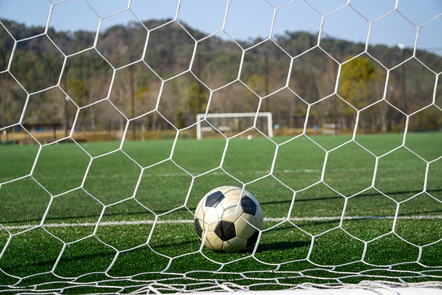 们的未来走 们的未来走